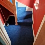 Avonvale Carpets - Odd Down - Bath - Hall - Stairs - Landings - Carpet - Adam Carpets - Wyre Forest - 1